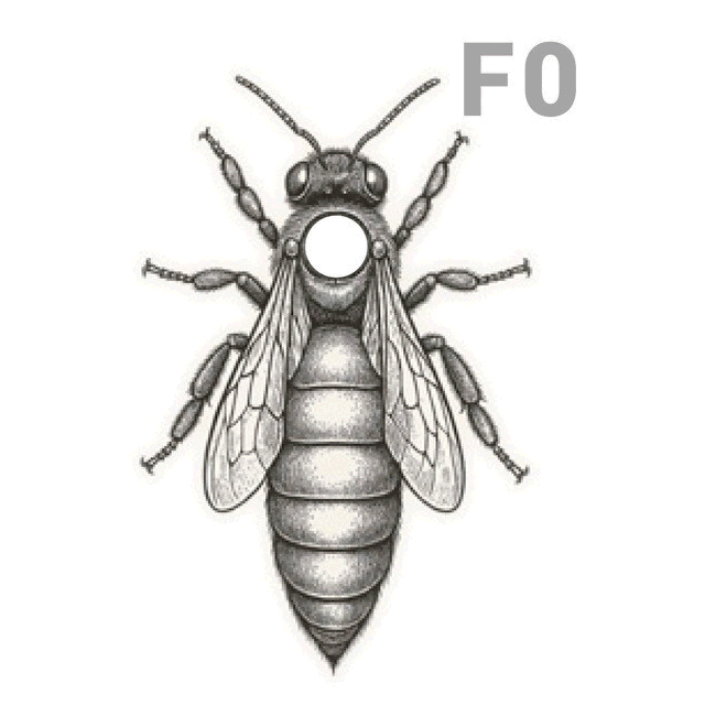 Belegstellenkö Gelm überwintert 2026